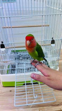 いきもの探検隊に投稿された画像（2024/7/1）