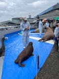 大分マリーンパレス水族館 「うみたまご」に投稿された画像（2024/7/1）