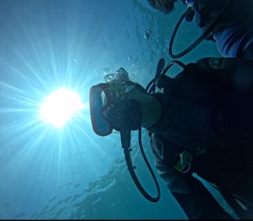 武藤潜水に投稿された画像（2024/7/1）