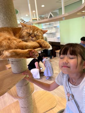 つくばわんわんランドに投稿された画像（2024/7/1）