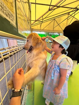 つくばわんわんランドに投稿された画像（2024/7/1）