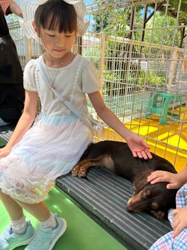 つくばわんわんランドに投稿された画像（2024/7/1）