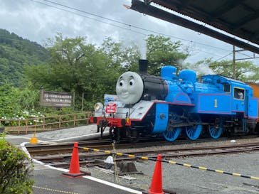 大井川鐵道株式会社に投稿された画像（2024/7/1）