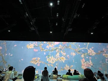 Immersive Museum OSAKA 2025に投稿された画像（2024/7/1）