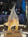 福井県立恐竜博物館に投稿された画像（2024/7/1）