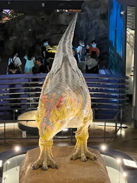 福井県立恐竜博物館に投稿された画像（2024/7/1）