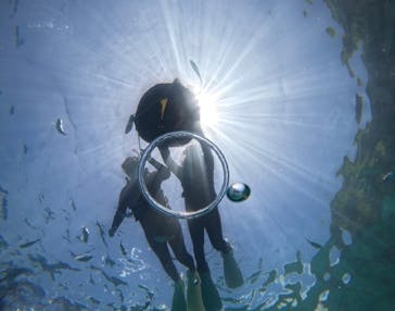 武藤潜水に投稿された画像（2024/7/1）