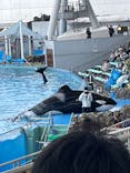 名古屋港水族館に投稿された画像（2024/7/1）