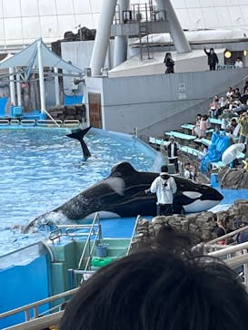 名古屋港水族館に投稿された画像（2024/7/1）