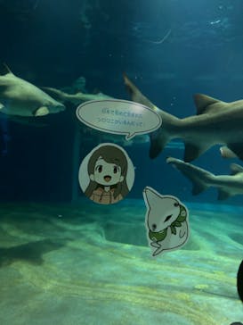 アクアワールド茨城県大洗水族館に投稿された画像（2024/7/1）