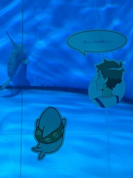 アクアワールド茨城県大洗水族館に投稿された画像（2024/7/1）