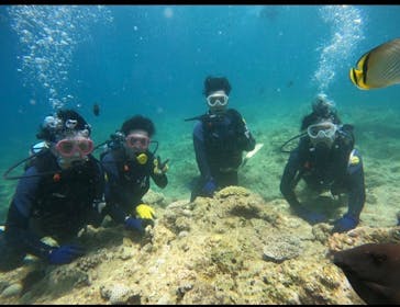 武藤潜水に投稿された画像（2024/7/1）