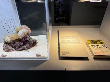 AOAO SAPPOROに投稿された画像（2024/7/1）