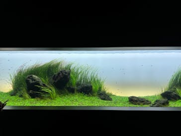 AOAO SAPPOROに投稿された画像（2024/7/1）