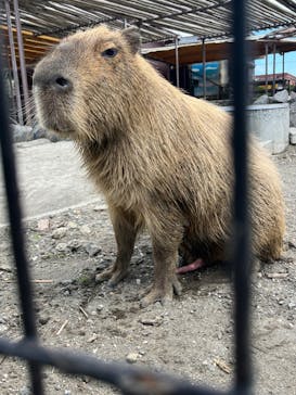 アロハガーデンたてやまに投稿された画像（2024/6/29）