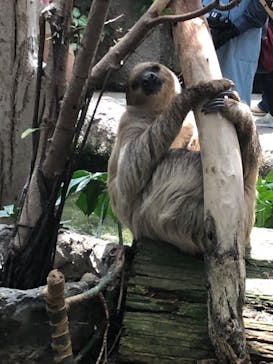 神戸どうぶつ王国に投稿された画像（2024/7/1）