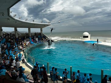 鴨川シーワールドに投稿された画像（2024/7/1）