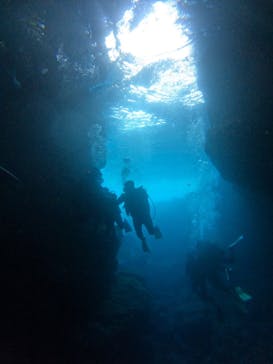 沖縄マリンサービス碧に投稿された画像（2024/7/1）