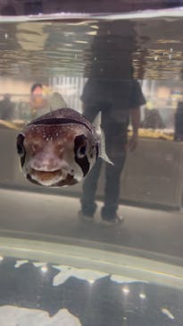 NIFREL（ニフレル）に投稿された画像（2024/7/1）