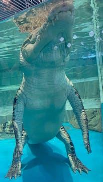 NIFREL（ニフレル）に投稿された画像（2024/7/1）