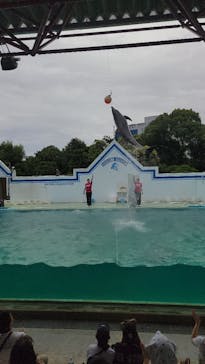 しながわ水族館に投稿された画像（2024/7/1）