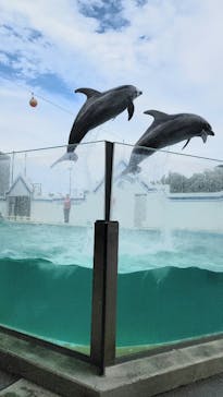 しながわ水族館に投稿された画像（2024/7/1）