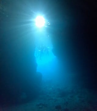 青の洞窟専門店　沖縄ダイビングショップ和に投稿された画像（2024/7/1）