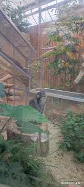 神戸どうぶつ王国に投稿された画像（2024/7/1）