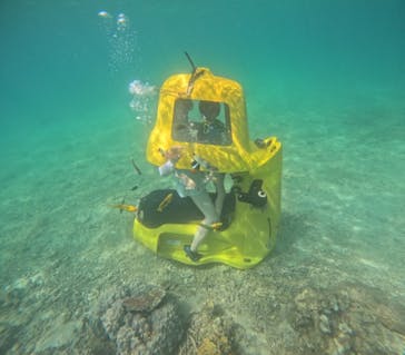 思い出販売所 美ら海に投稿された画像（2024/7/1）