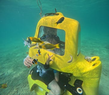 思い出販売所 美ら海に投稿された画像（2024/7/1）