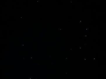 西表島 ADVENTURE PiPi（アドベンチャーピピ）に投稿された画像（2024/7/1）