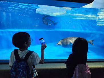 サンシャイン水族館に投稿された画像（2024/7/1）