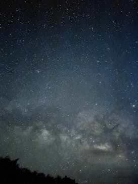 西表島 ADVENTURE PiPi（アドベンチャーピピ）に投稿された画像（2024/7/1）