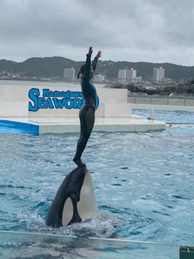 鴨川シーワールドに投稿された画像（2024/7/1）