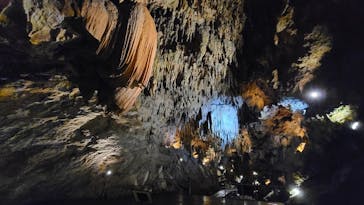 CAVE OKINAWAに投稿された画像（2024/7/1）