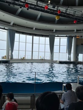 アクアワールド茨城県大洗水族館に投稿された画像（2024/7/1）