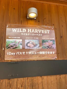 NESTA RESORT KOBE（ネスタリゾート神戸）に投稿された画像（2024/7/1）