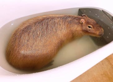 アニタッチ MARK IS 静岡に投稿された画像（2024/7/1）