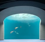 四国水族館に投稿された画像（2024/7/1）