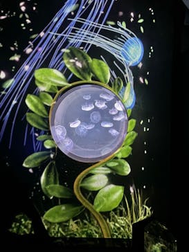 仙台うみの杜水族館に投稿された画像（2024/7/1）