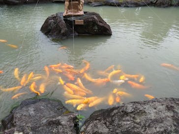 土肥金山に投稿された画像（2024/6/27）