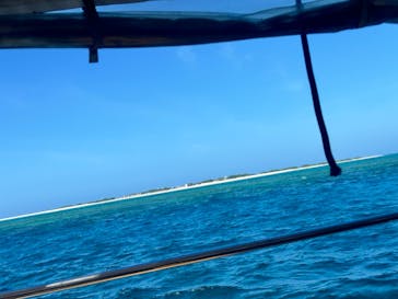 OPG（オーピージー）に投稿された画像（2024/7/1）