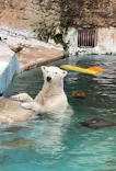 天王寺動物園に投稿された画像（2024/7/2）