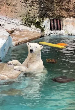 天王寺動物園に投稿された画像（2024/7/1）