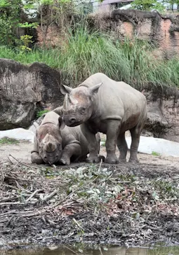 天王寺動物園に投稿された画像（2024/7/1）