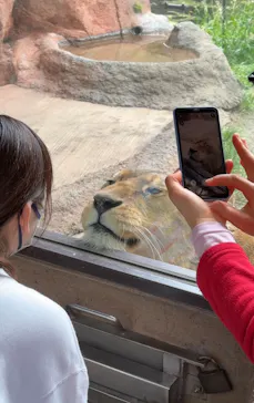 天王寺動物園に投稿された画像（2024/7/1）