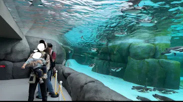 天王寺動物園に投稿された画像（2024/7/1）