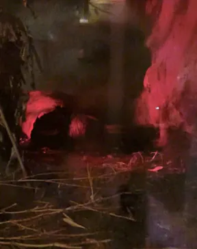 天王寺動物園に投稿された画像（2024/7/1）