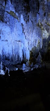 おきなわワールドに投稿された画像（2024/7/2）