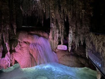 おきなわワールドに投稿された画像（2024/7/2）